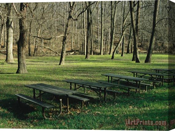 Raymond Gehman Green Picnic Tables And Benches in a Clearing Near Hardwood Trees Stretched Canvas Print / Canvas Art