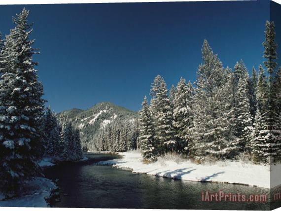 Raymond Gehman Madison River Gallatin National Forest Montana Stretched Canvas Print / Canvas Art