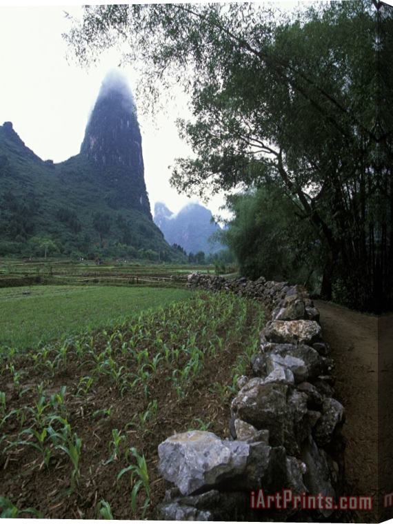 Raymond Gehman Rock Wall And Farm Fields Along The Li River Guilin Guangxi China Stretched Canvas Print / Canvas Art