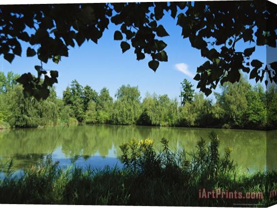 Raymond Gehman Scenic View of a Woodland Pond Or Lake Stretched Canvas Print / Canvas Art