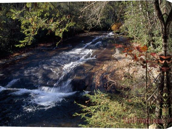 Raymond Gehman Small Waterfall in a Wooded Setting Stretched Canvas Print / Canvas Art