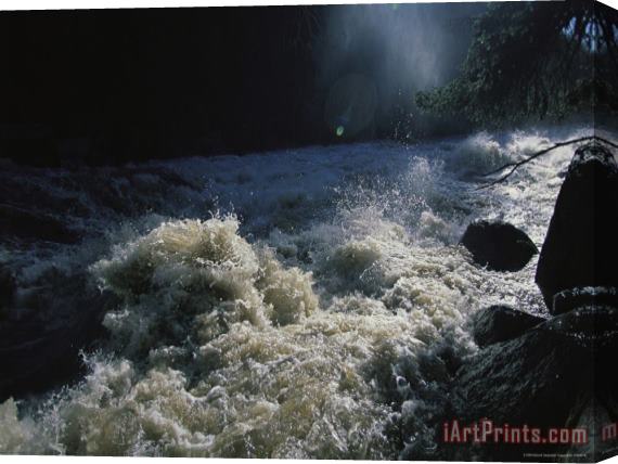 Raymond Gehman Snow Melt Swells The Lamar River As It Rushes Through a Canyon Stretched Canvas Print / Canvas Art