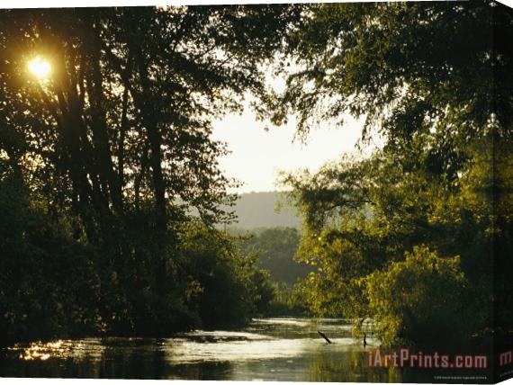 Raymond Gehman Sunset Above a Riparian Forest Bordering The Susquehanna River Stretched Canvas Print / Canvas Art