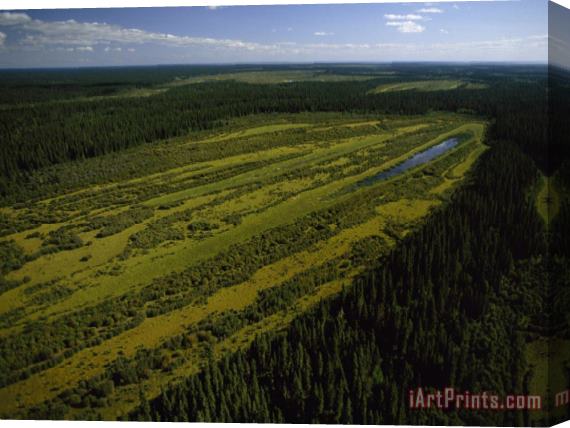 Raymond Gehman Vegetation Varies Within a Perched Basin a Wetland in The Peace Athabasca Delta Stretched Canvas Painting / Canvas Art