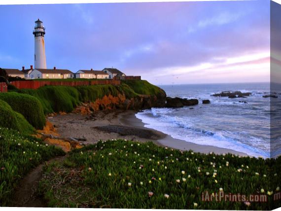 Raymond Gehman View of Pigeon Point Lighthouse Off Scenic Route 1 California Stretched Canvas Painting / Canvas Art