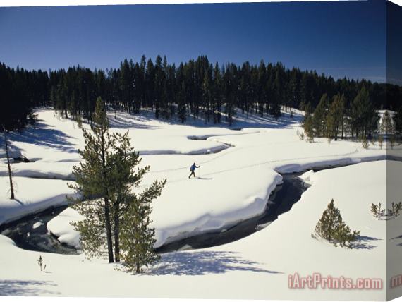 Raymond Gehman Virginia Creek with a Cross Country Skier Stretched Canvas Print / Canvas Art