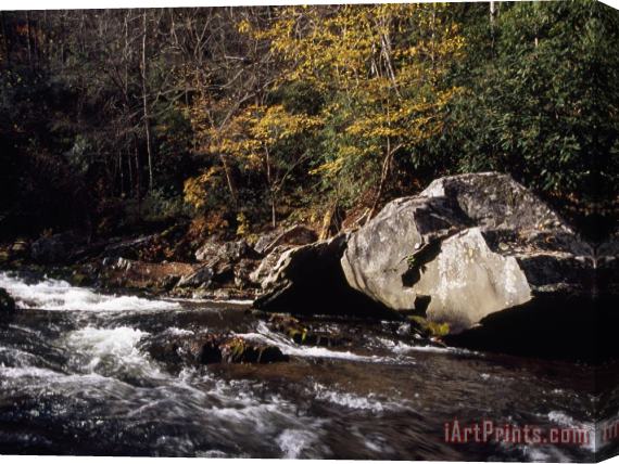 Raymond Gehman Water Rushing Through an Autumn Scene in The Nantahala River Gorge Stretched Canvas Painting / Canvas Art