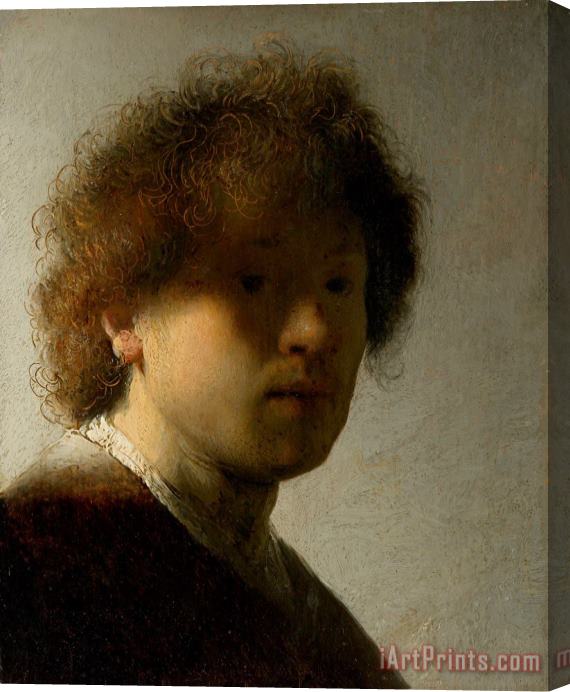 Rembrandt Self Portrait at an Early Age Stretched Canvas Painting / Canvas Art