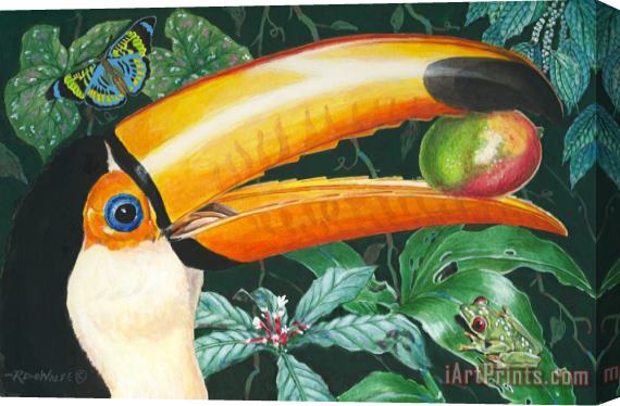 Richard De Wolfe Tropical Rain Forest Toucan Stretched Canvas Painting / Canvas Art