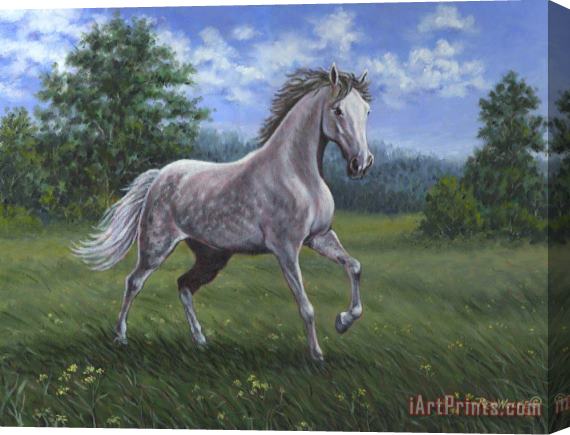 Richard De Wolfe Wind Song Stretched Canvas Painting / Canvas Art