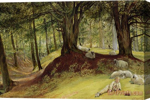 Richard Redgrave Parkhurst Woods Stretched Canvas Print / Canvas Art