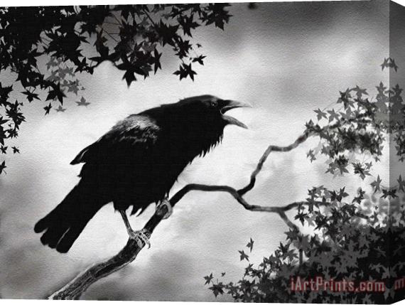 Robert Foster Raven's Song Stretched Canvas Painting / Canvas Art
