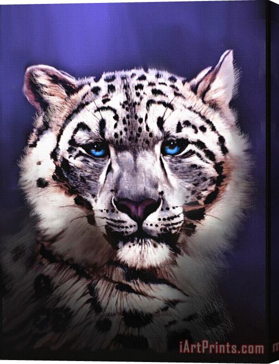 Robert Foster Snow Leopard Stretched Canvas Painting / Canvas Art
