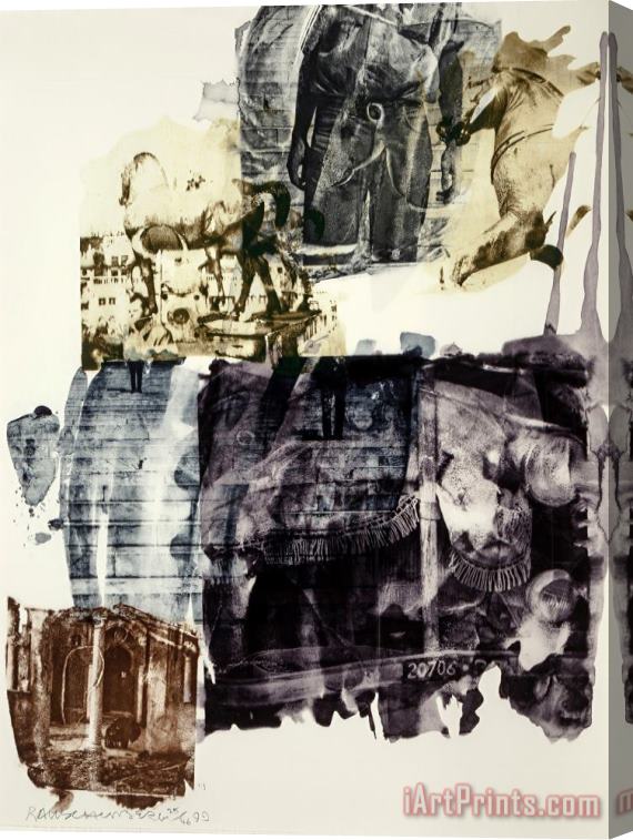 Robert Rauschenberg Eagle Eye, From Ruminations Series, 1999 Stretched Canvas Print / Canvas Art