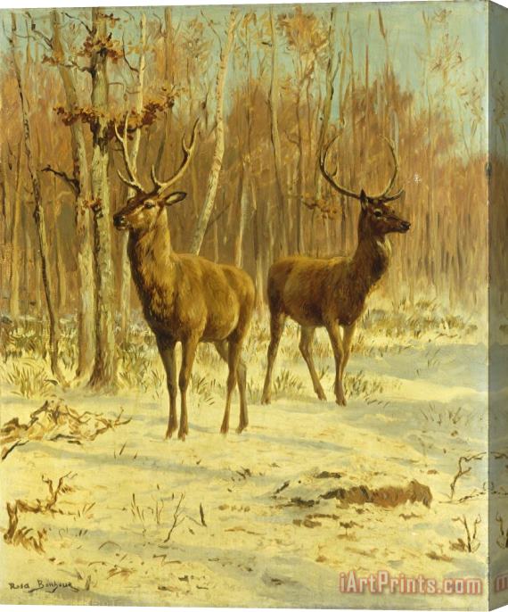 Rosa Bonheur Two Stags In A Clearing In Winter Stretched Canvas Print / Canvas Art