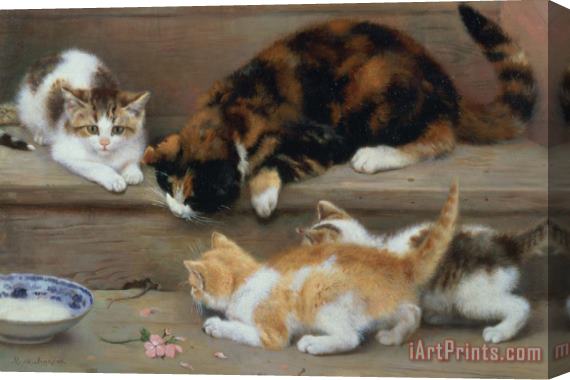 Rosa Jameson Cat and kittens chasing a mouse Stretched Canvas Painting / Canvas Art
