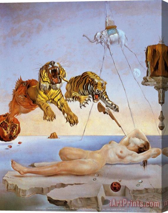 Salvador Dali Dream Caused by The Flight of a Bee a Second Before Awakening Stretched Canvas Painting / Canvas Art