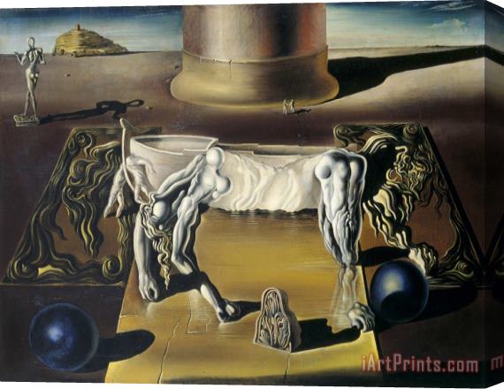 Salvador Dali Invisible Lion, Horse, Sleeping Woman., 1930 Stretched Canvas Print / Canvas Art