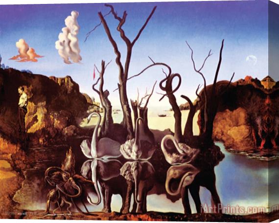 Salvador Dali Reflection of Elephants Stretched Canvas Painting / Canvas Art