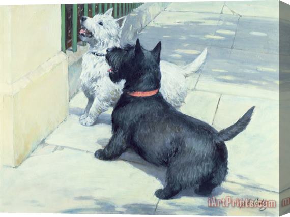 Septimus Edwin Scott Black and White Dogs Stretched Canvas Painting / Canvas Art