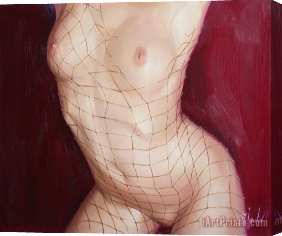 Sergey Ignatenko The love in net Stretched Canvas Print / Canvas Art