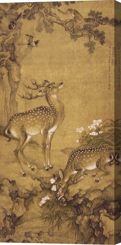Shen Nanpin A Birthday Painting, Qing Dynasty (1644 1911) Stretched Canvas Painting / Canvas Art