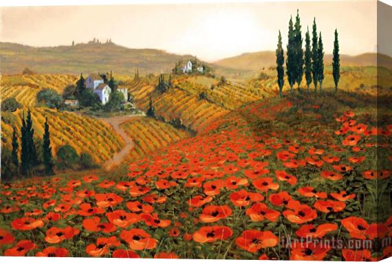 Steve Wynne Hills of Tuscany II Stretched Canvas Print / Canvas Art