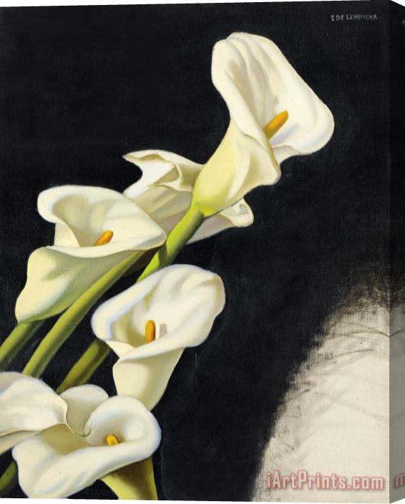 tamara de lempicka Arums Etude, 1938 Stretched Canvas Print / Canvas Art