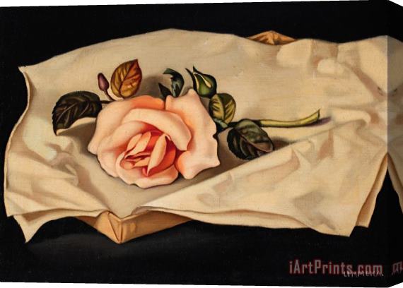 tamara de lempicka Une Rose Stretched Canvas Print / Canvas Art