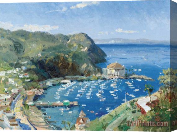 Thomas Kinkade Catalina, View From Mt. Ada Stretched Canvas Painting / Canvas Art
