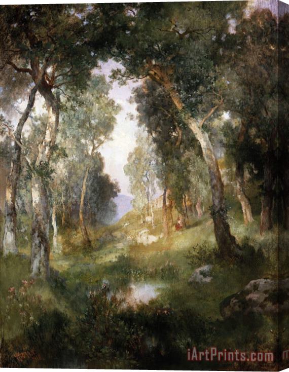 Thomas Moran Forest Glade Stretched Canvas Print / Canvas Art