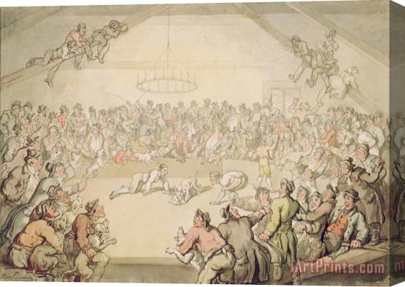 Thomas Rowlandson The Dog Fight Stretched Canvas Print / Canvas Art