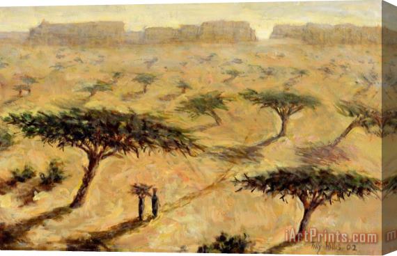 Tilly Willis Sahelian Landscape Stretched Canvas Painting / Canvas Art