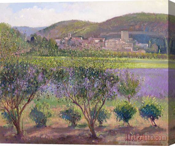 Timothy Easton Lavender Seen Through Quince Trees Stretched Canvas Print / Canvas Art