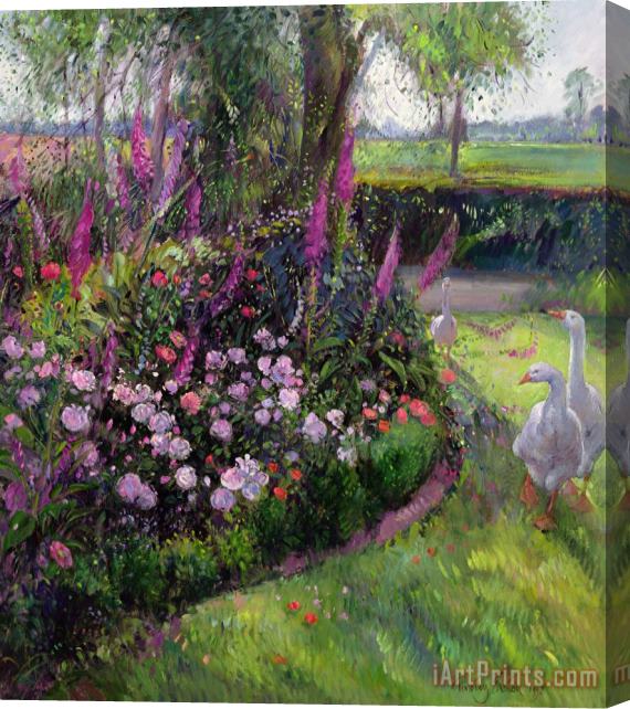 Timothy Easton Rose Bed and Geese Stretched Canvas Painting / Canvas Art