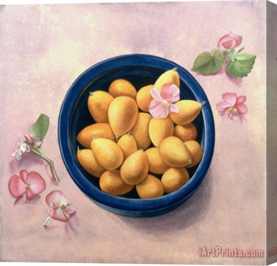 Tomar Levine Kumquats And Blossoms Stretched Canvas Print / Canvas Art