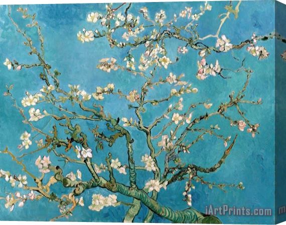 Vincent van Gogh Almond Branches In Bloom Stretched Canvas Print / Canvas Art