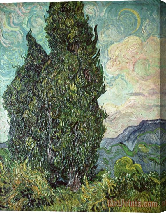 Vincent Van Gogh Cypresses Stretched Canvas Print / Canvas Art