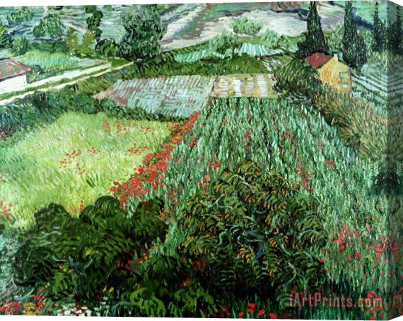 Vincent Van Gogh Field with Poppies Stretched Canvas Print / Canvas Art