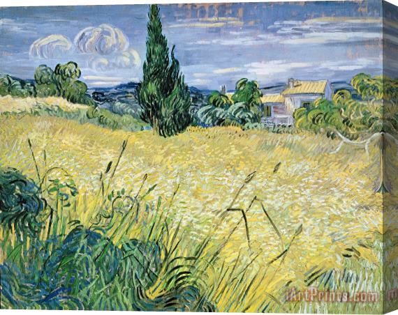 Vincent Van Gogh Landscape with Green Corn Stretched Canvas Painting / Canvas Art