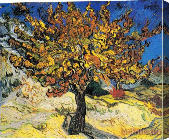 Vincent van Gogh Mulberry-tree Stretched Canvas Print / Canvas Art