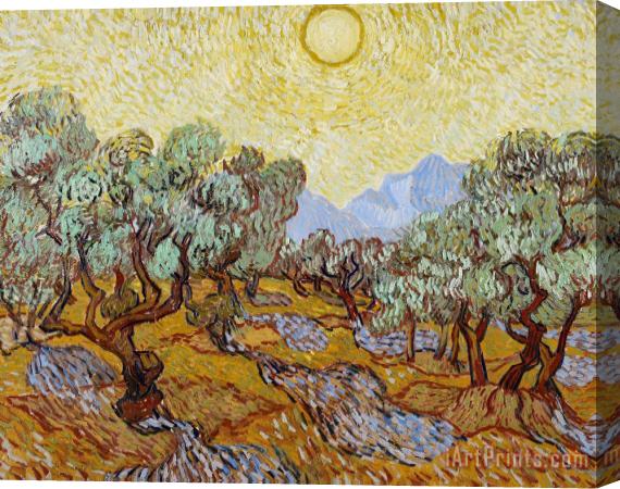 Vincent van Gogh Olive Trees Stretched Canvas Painting / Canvas Art