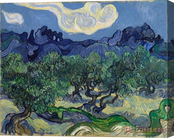 Vincent van Gogh The Olive Trees Stretched Canvas Painting / Canvas Art