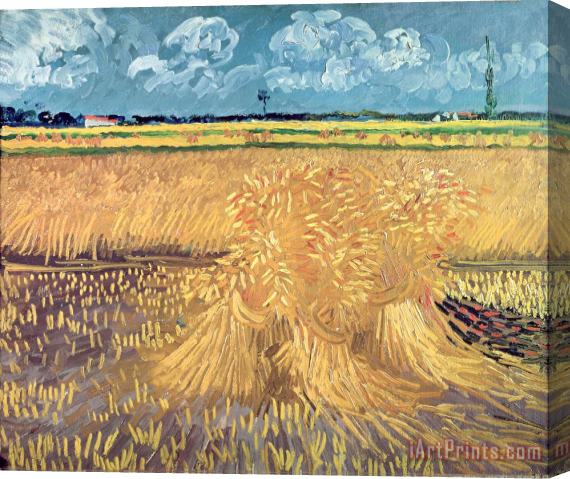Vincent van Gogh Wheatfield with Sheaves Stretched Canvas Print / Canvas Art
