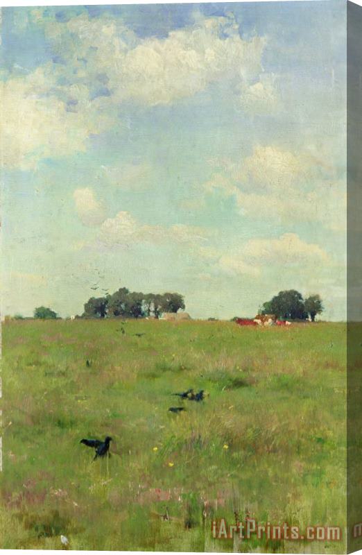 Walter Frederick Osborne Field with Trees and Sky Stretched Canvas Painting / Canvas Art