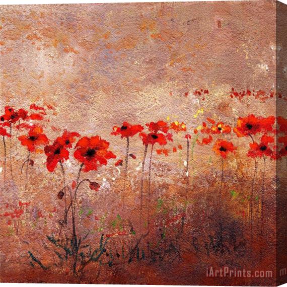 Wendy Kroeker Field Poppies 1 Stretched Canvas Print / Canvas Art