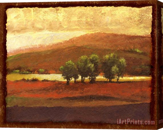 Wendy Kroeker Green Trees in The Hills Stretched Canvas Print / Canvas Art