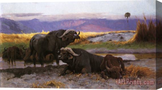 Wilhelm Kuhnert Buffalo Along The Riverbank Stretched Canvas Print / Canvas Art