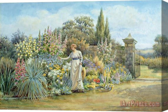 William Ashburner In the Garden Stretched Canvas Painting / Canvas Art