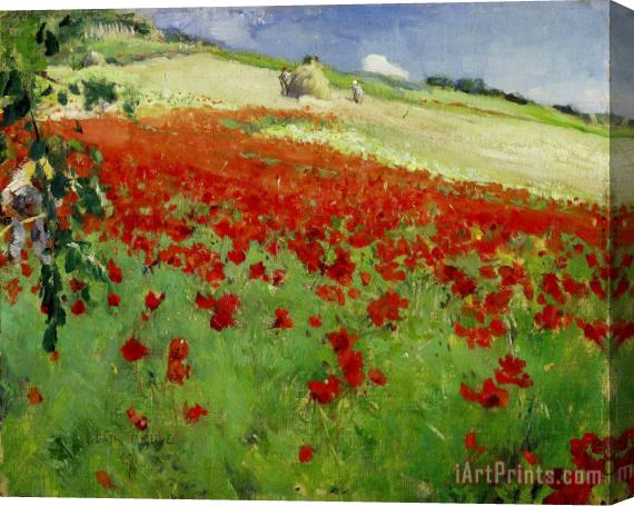 William Blair Bruce Landscape with Poppies Stretched Canvas Print / Canvas Art